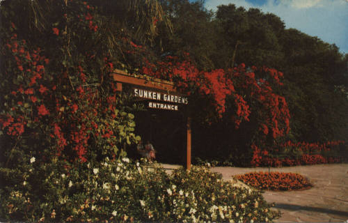 Postcard - Sunken Gardens, St. Petersburg, Florida