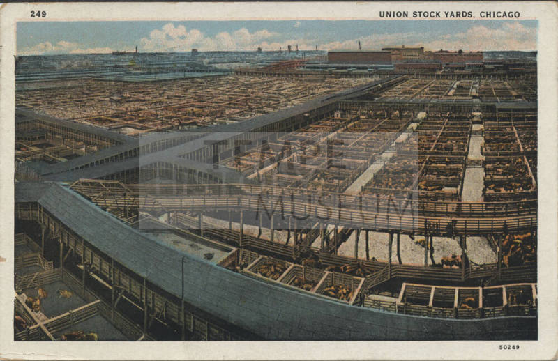 Postcard - Union Stock Yards, Chicago, Illinois