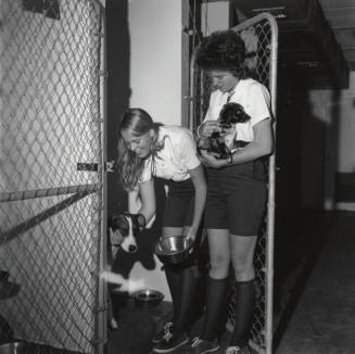 Two Girl Scouts Feeding Dogs