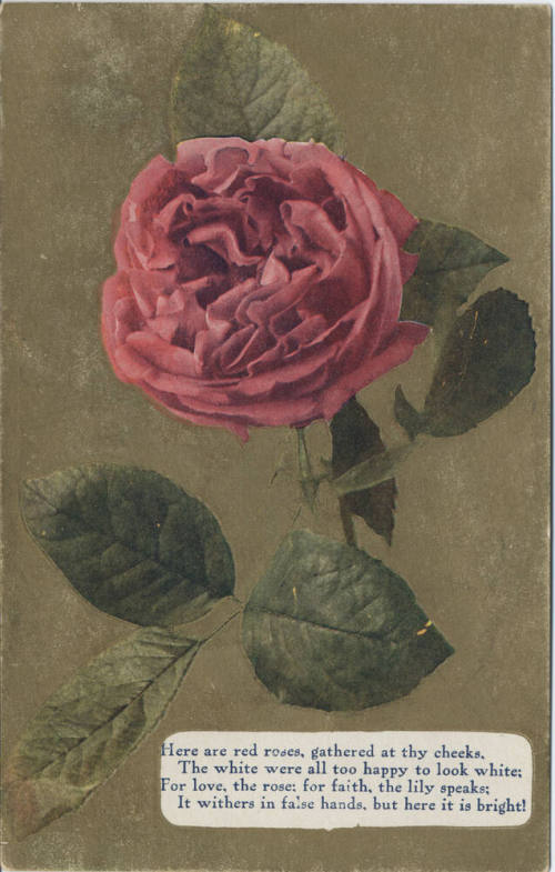Postcard - "Here Are the Red Roses, ..."