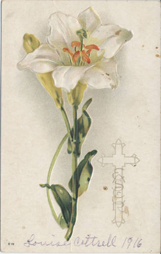 Postcard - Decorative Easter Lily Card