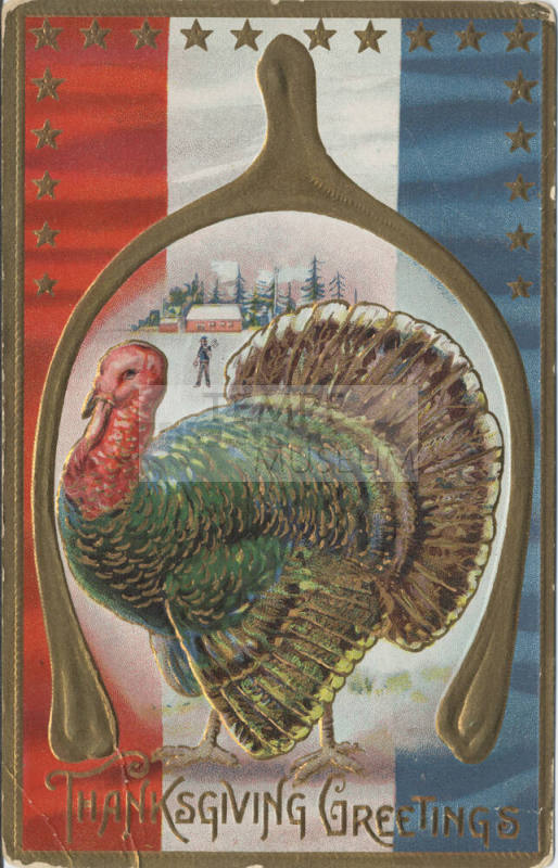 Postcard - "Thanksgiving Greetings"