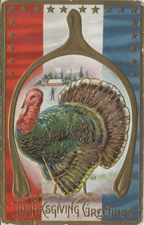Postcard - "Thanksgiving Greetings"