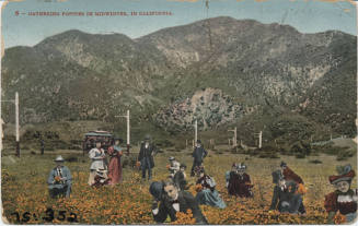 Postcard - Gathering Poppies in California