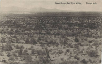 Postcard - Desert Scene, Salt River Valley