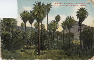 Postcard - "Beautiful California"