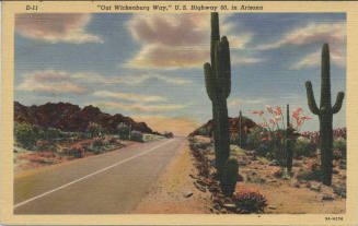 Postcard - "Out Wickenburg Way," Arizona