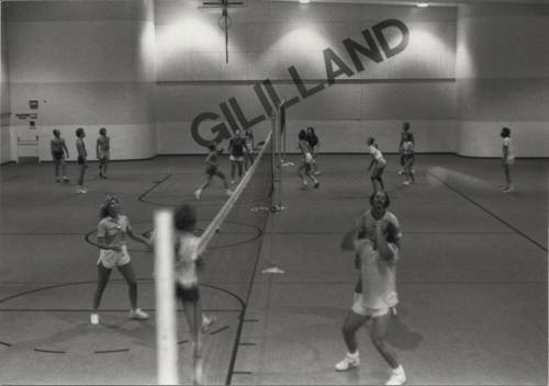 People Participating in Volleyball Games at Gililland Intermediate School Gym