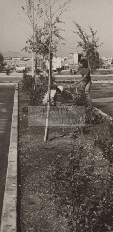 Landscape Gardeners During Construction of Kiwanis Park