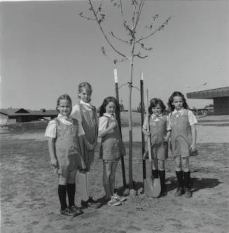 Brownie Troop 246 Plant A Mulberry Tree At Fuller Elementary School - A Tempe Daily News Article