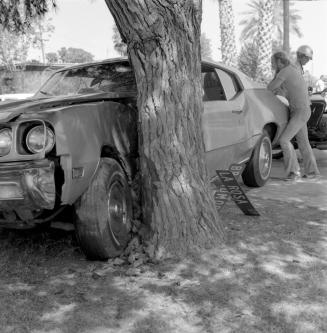 Unidentified Photograph - Car & Tree Crash