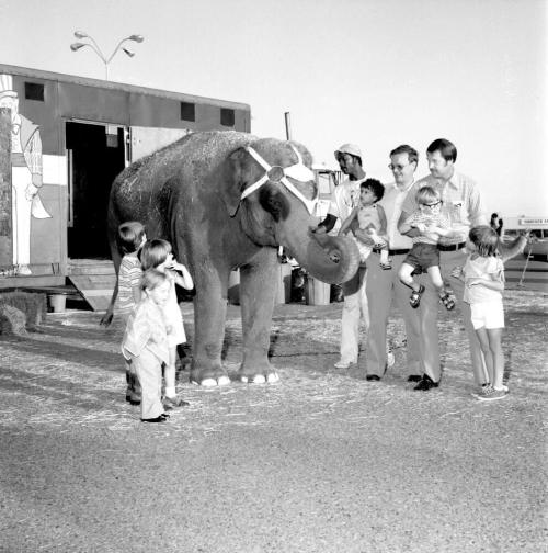 Seeing the big top - Tempe Daily News, May 27 1977