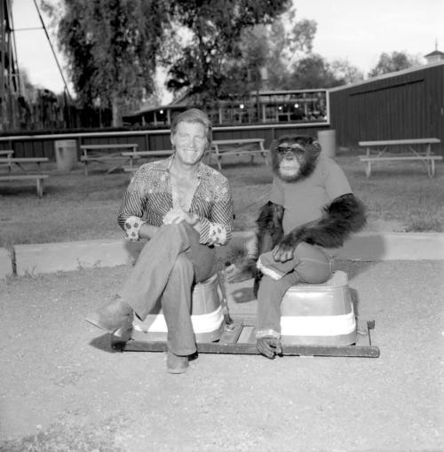Chimpanzee and trainer at Legend City. - July 1977