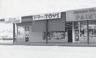 Tee Pee of Toys - 821 South Mill Avenue, Tempe, Arizona