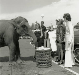 Elephant and spectators, March 1978