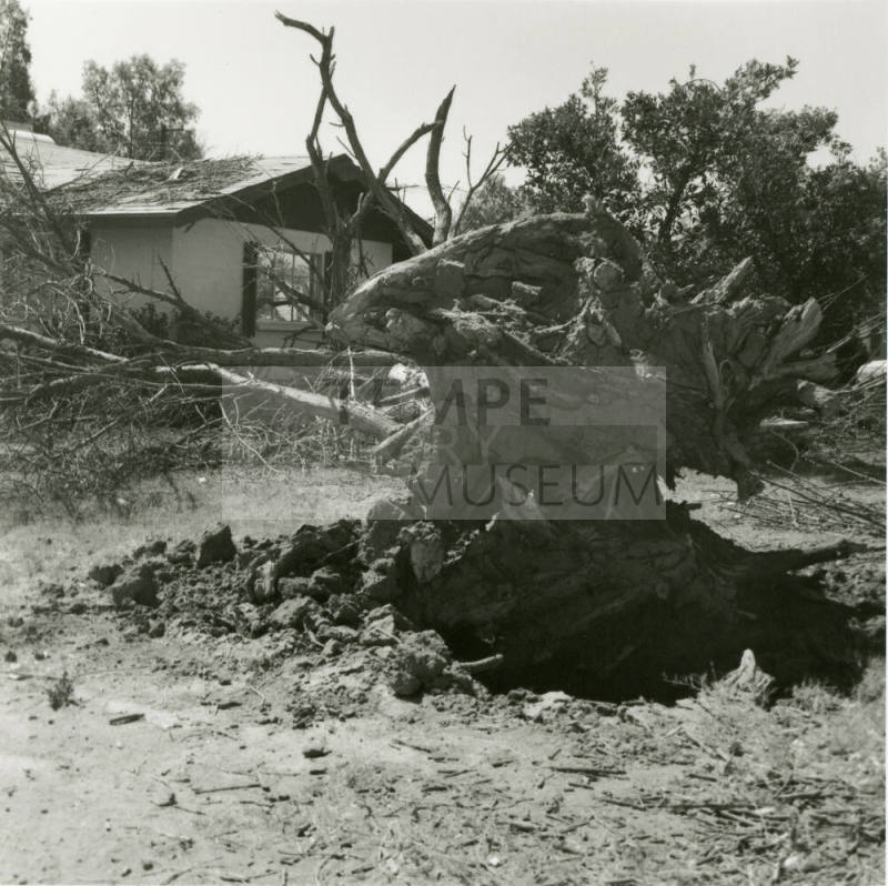 Storm Damage -- Tempe Daily News, June 7, 1978
