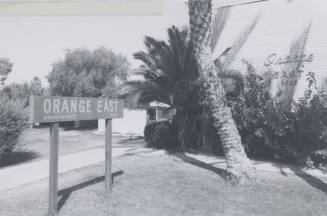 Orange East Apartments - 1020 East Orange Street, Tempe, Arizona
