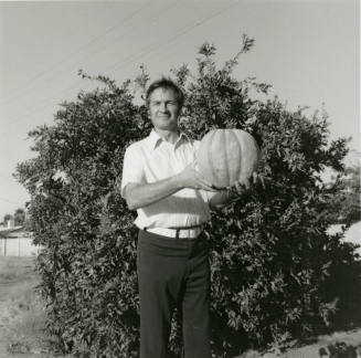 Pumpkin? Guess Again! - Tempe Daily News, October 12 1978