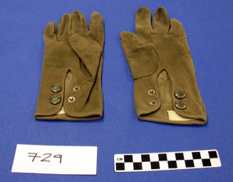 Carl Hayden's doe skin gloves