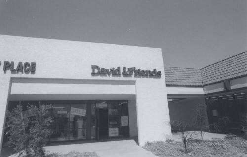 David and Friends-Beauty Shop - 5058 South Price Road, Tempe, Arizona
