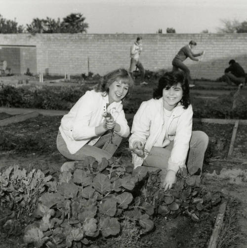 Two unidentified women in a vegetable garden