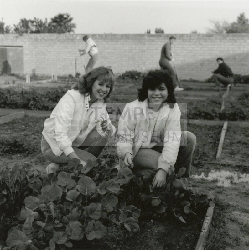 Two unidentified women in a vegetable garden