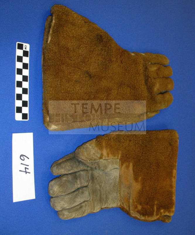 Bear skin gloves