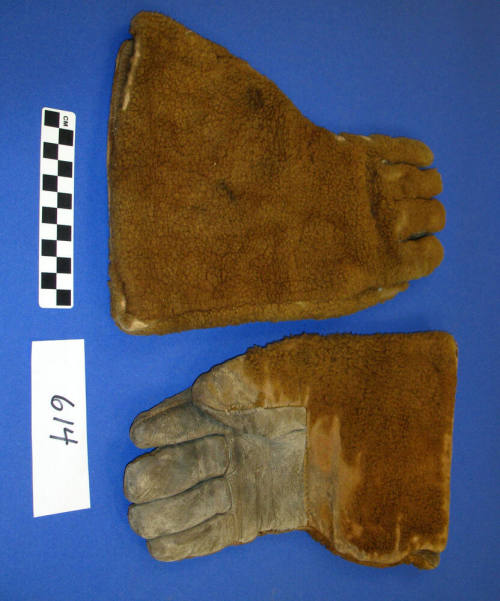 Bear skin gloves