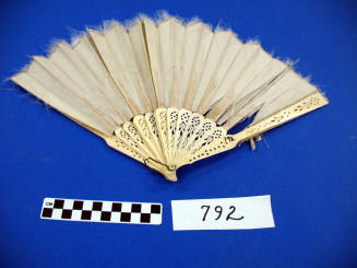 Ivory fan with feather trim