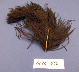 Plume - ostrich feather