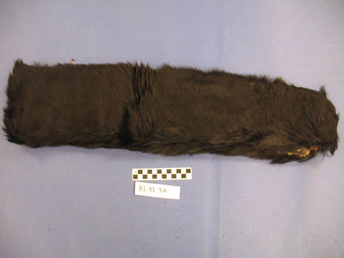Black Fur Fragment