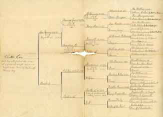 Lineage of Chester Lou, a Colt
