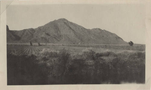 View of a Field and Camelback Mountain