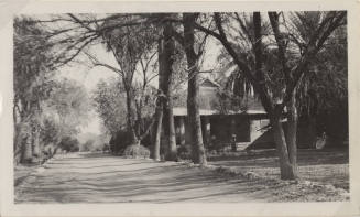 A small house amid large trees at the Hayden Ranch