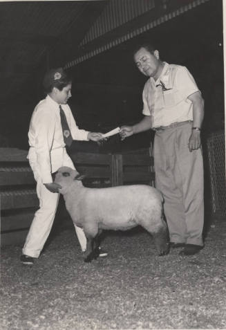 4-H club participant with a sheep, receiving an award from Chris Sigala