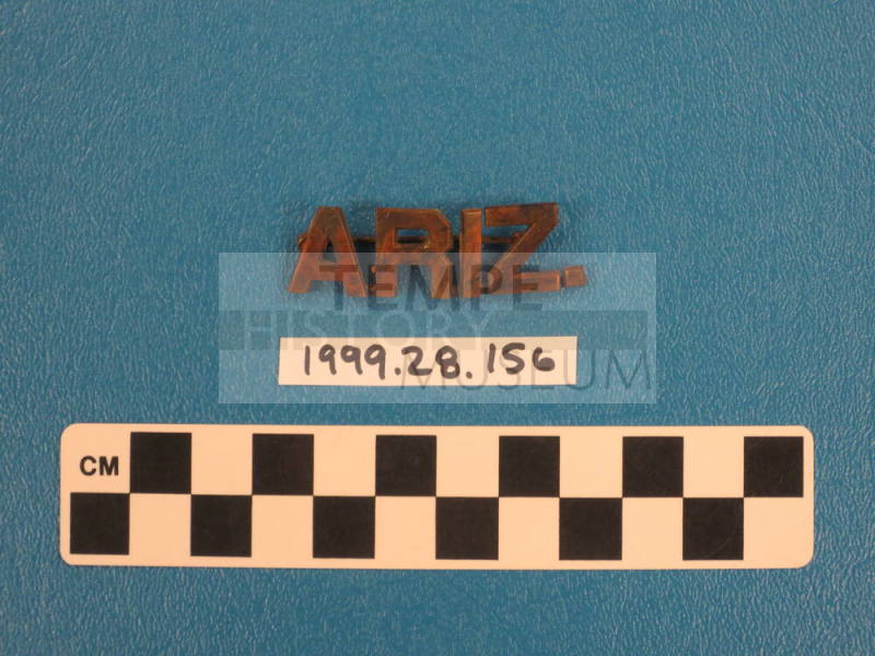 Uniform collar pin "ARIZ" Guard