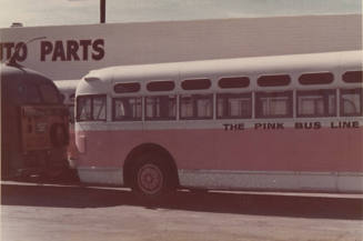 The "Pink Bus Line" Bus