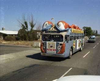 Bugline Bus Photo