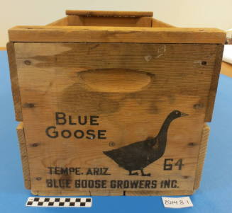 Blue Goose Shipping Crate- Tempe AZ