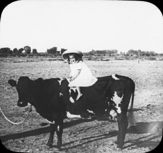 Rough rider - Little girl on steer.