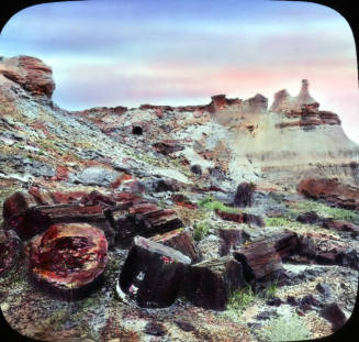Beautiful View in the Petrified Forest, Arizona