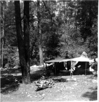 campground, Horton Creek in Tonto National Forest