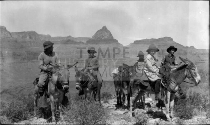 Charles Custis, Charles Harold, and Dorothy Woolf, along with others, on mules in Grand Canyon