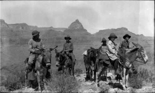 Charles Custis, Charles Harold, and Dorothy Woolf, along with others, on mules in Grand Canyon