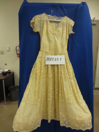 Organza 1950's Hoop Dress