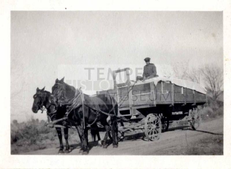 Photograph - Wagon load of cotton