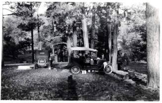 Photograph - Picnic in the woods