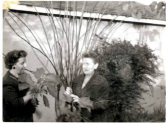 Minnie Laird Raymond and Ann Raymond Fischer Holding Plants