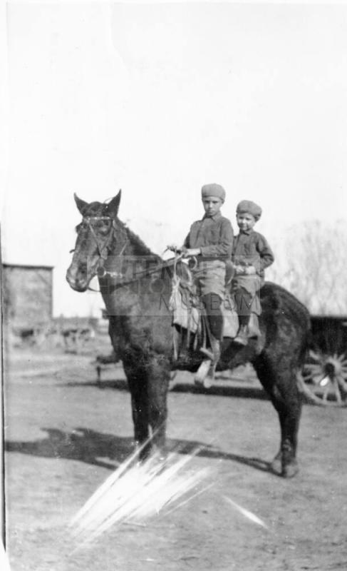 Hermon and Roland Stanion, young boys, on horse