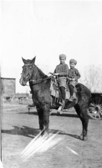 Hermon and Roland Stanion, young boys, on horse